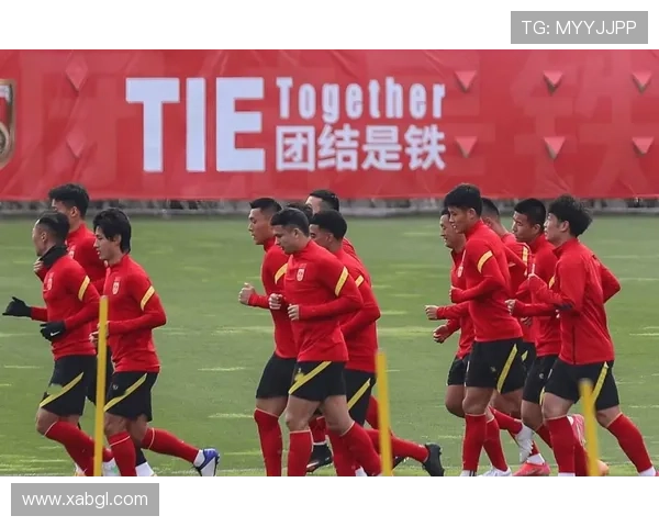 米特里策致谢浙江球迷承诺强势回归